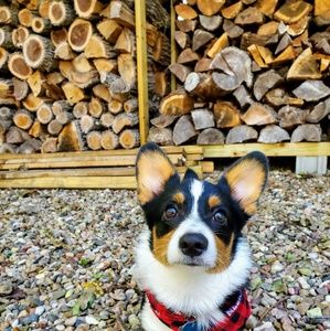 Meet your Posher, Kaitlin